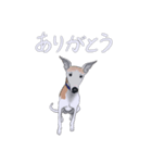 ベスとテトシと、時々、ソウシ（個別スタンプ：6）