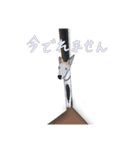ベスとテトシと、時々、ソウシ（個別スタンプ：8）