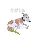 ベスとテトシと、時々、ソウシ（個別スタンプ：12）