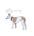 ベスとテトシと、時々、ソウシ（個別スタンプ：13）