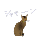 ベスとテトシと、時々、ソウシ（個別スタンプ：22）