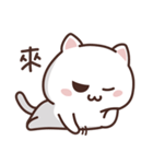 ホワイトねこの日常（個別スタンプ：12）
