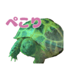 ぷちこ。（個別スタンプ：2）