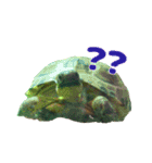 ぷちこ。（個別スタンプ：14）