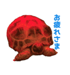 ぷちこ。（個別スタンプ：16）
