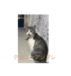 スペイン語を喋るネコ（個別スタンプ：1）