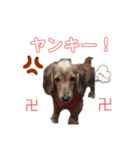 リト助のスタンプ（個別スタンプ：8）