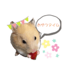 ハムスターのぷん（個別スタンプ：1）