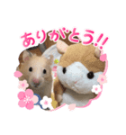 ハムスターのぷん（個別スタンプ：7）