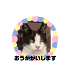 猫ちゃん達元気（個別スタンプ：5）