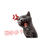 まりお会長（個別スタンプ：7）