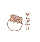 うずらいぬ（個別スタンプ：10）