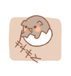 うずらいぬ（個別スタンプ：19）