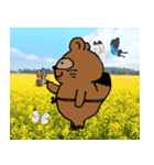 我が家のたぬちゃんpart4（個別スタンプ：7）