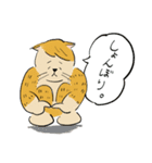 猫のヒロシ（個別スタンプ：5）