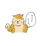 猫のヒロシ（個別スタンプ：13）