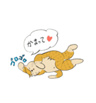 猫のヒロシ（個別スタンプ：20）