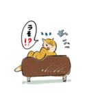 猫のヒロシ（個別スタンプ：23）