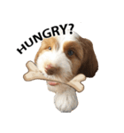 キノくん子犬（個別スタンプ：1）