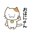 コロねこの毎日スタンプ☆1（個別スタンプ：1）