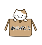 コロねこの毎日スタンプ☆1（個別スタンプ：25）