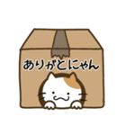 コロねこの毎日スタンプ☆1（個別スタンプ：26）