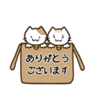 コロねこの毎日スタンプ☆1（個別スタンプ：27）