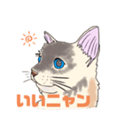ラグドール真央っこ（個別スタンプ：2）