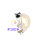 ラグドール真央っこ（個別スタンプ：5）
