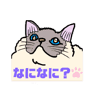 ラグドール真央っこ（個別スタンプ：8）