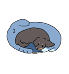 犬好きホワトの毎日使えるスタンプ（個別スタンプ：32）