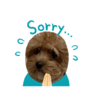 愛犬れむくんのいる生活（個別スタンプ：2）
