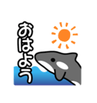 ひとこと(シャチ2)（個別スタンプ：1）
