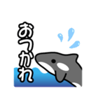 ひとこと(シャチ2)（個別スタンプ：3）