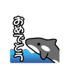 ひとこと(シャチ2)（個別スタンプ：5）