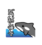 ひとこと(シャチ2)（個別スタンプ：6）
