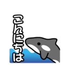 ひとこと(シャチ2)（個別スタンプ：7）