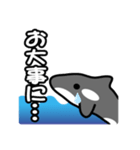 ひとこと(シャチ2)（個別スタンプ：14）