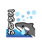 ひとこと(シャチ2)（個別スタンプ：19）