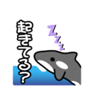 ひとこと(シャチ2)（個別スタンプ：21）