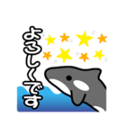 ひとこと(シャチ2)（個別スタンプ：23）