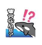 ひとこと(シャチ2)（個別スタンプ：24）