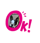 ニコライフ（個別スタンプ：1）