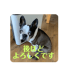 ニコライフ（個別スタンプ：4）