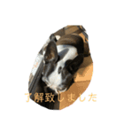 ニコライフ（個別スタンプ：8）