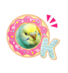 愉快なインコたち（個別スタンプ：5）