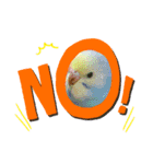 愉快なインコたち（個別スタンプ：6）
