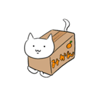 みかん猫とマーガリン犬と時々モロヘイヤ馬（個別スタンプ：1）