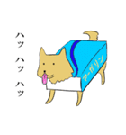 みかん猫とマーガリン犬と時々モロヘイヤ馬（個別スタンプ：2）