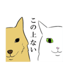みかん猫とマーガリン犬と時々モロヘイヤ馬（個別スタンプ：14）
